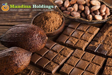 画像をギャラリービューアに読み込む, CACAO