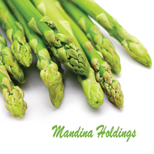 Charger l'image dans la galerie, Asparagus - Mandina Holdings