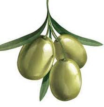 Cargar imagen en el visor de la galería, GREEN OLIVE - Mandina Holdings
