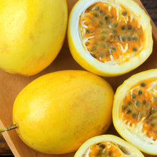 画像をギャラリービューアに読み込む, Passion Fruit - Mandina Holdings
