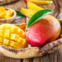 将图片加载到图库查看器,Mango - Mandina Holdings