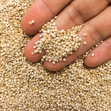 Cargar imagen en el visor de la galería, Quinoa - Mandina Holdings