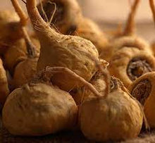 Cargar imagen en el visor de la galería, YELLOW MACA - Mandina Holdings