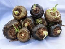 将图片加载到图库查看器,BLACK MACA - Mandina Holdings