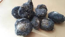 将图片加载到图库查看器,BLACK MACA - Mandina Holdings
