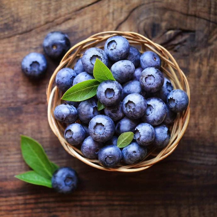 WHOLE BLUEBERRIES HELP MEMORY LOSS