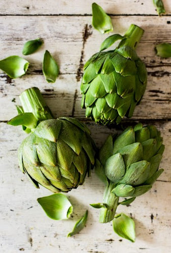 Artichoke - Mandina Holdings