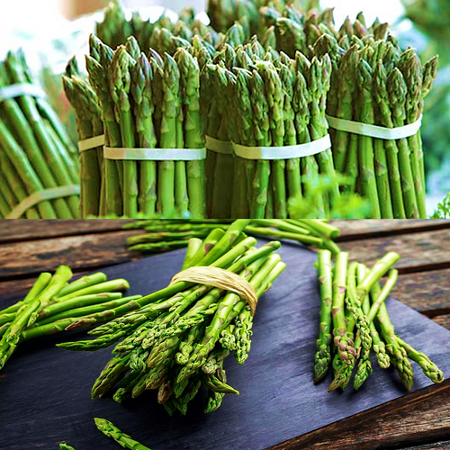 Asparagus - Mandina Holdings