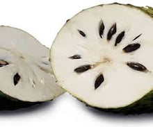 Cargar imagen en el visor de la galería, SOURSOP - Mandina Holdings
