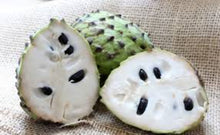 将图片加载到图库查看器，SOURSOP - Mandina Holdings
