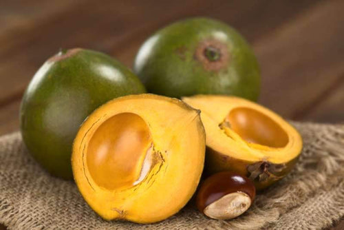 LUCUMA - Mandina Holdings