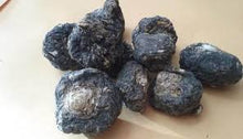 将图片加载到图库查看器，BLACK MACA - Mandina Holdings
